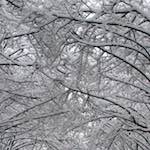 image: Image from the photoset &lsquo;montmartre (xiii)&rsquo;.