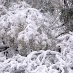 image: Image from the photoset &lsquo;montmartre (xiii)&rsquo;.