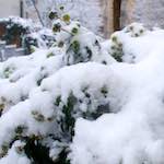 image: Image from the photoset &lsquo;montmartre (xiii)&rsquo;.