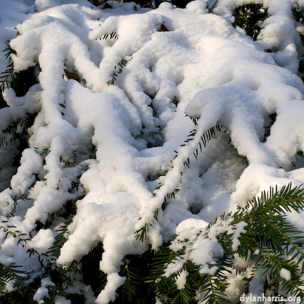 image: This is &lsquo;parc (x) 7&rsquo;.