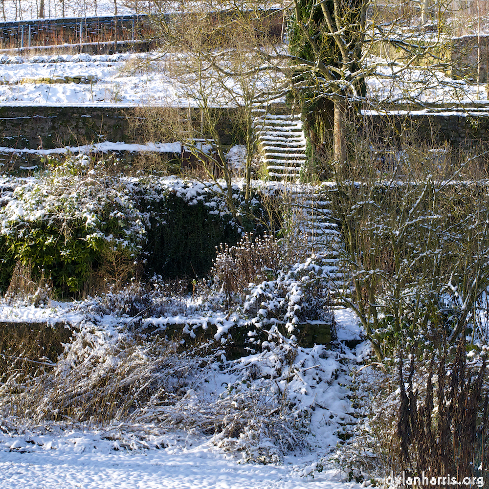 image: This is &lsquo;parc (x) 9&rsquo;.