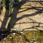 image: Image from the photoset &lsquo;parc (x)&rsquo;.