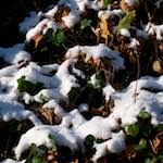 image: Image from the photoset &lsquo;parc (x)&rsquo;.