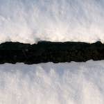 image: Image from the photoset &lsquo;parc (x)&rsquo;.