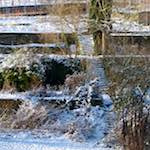 image: Image from the photoset &lsquo;parc (x)&rsquo;.