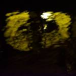 Fifth image from the photoset 'amsterdam (xviii)'.