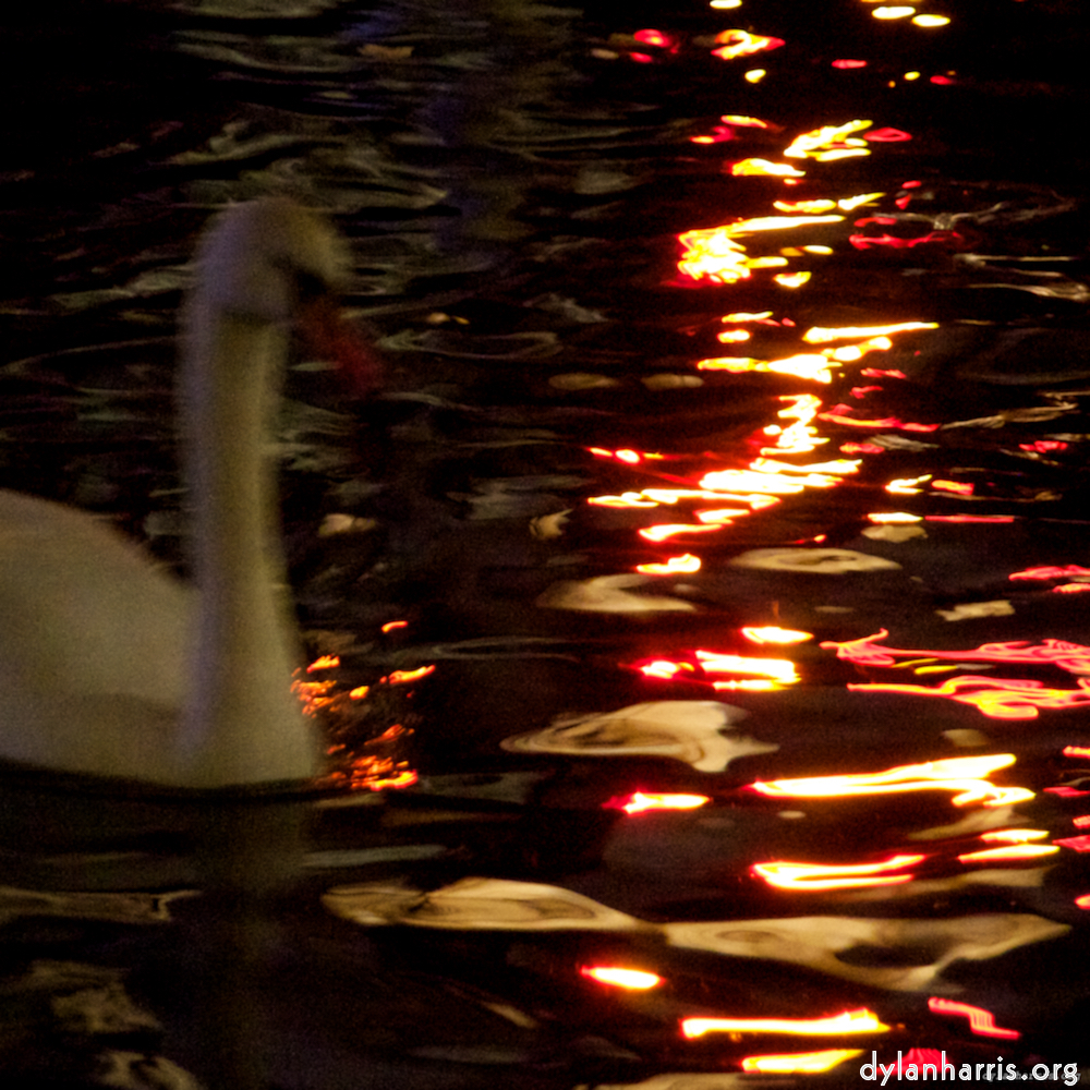 Image: Image 'amsterdam (xix) 1'.