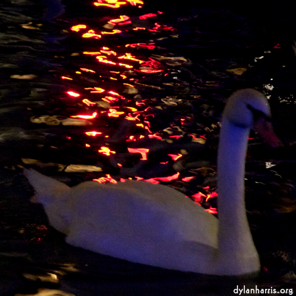 Image 'amsterdam (xix) 3'.