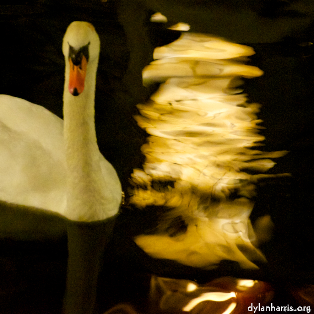 Image 'amsterdam (xix) 6'.