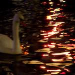 First image from the photoset 'amsterdam (xix)'.