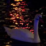 Third image from the photoset 'amsterdam (xix)'.