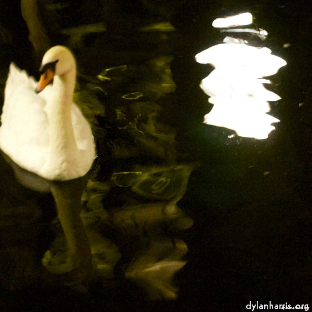 Image 'amsterdam (xx) 1'.