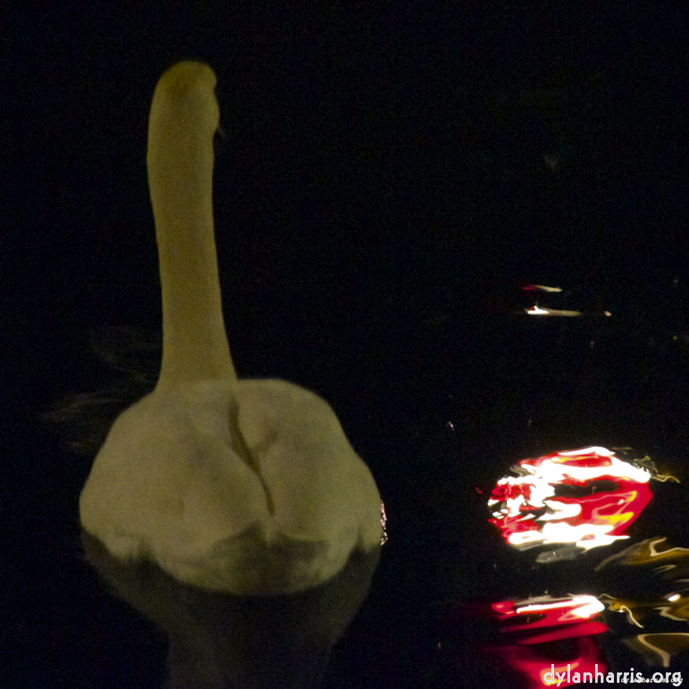 Image: Image 'amsterdam (xx) 2'.