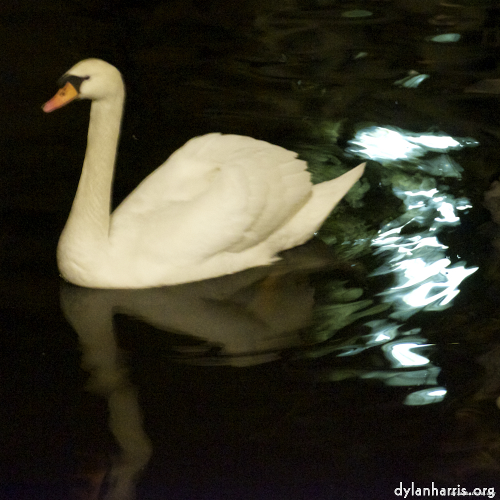 Image 'amsterdam (xx) 3'.