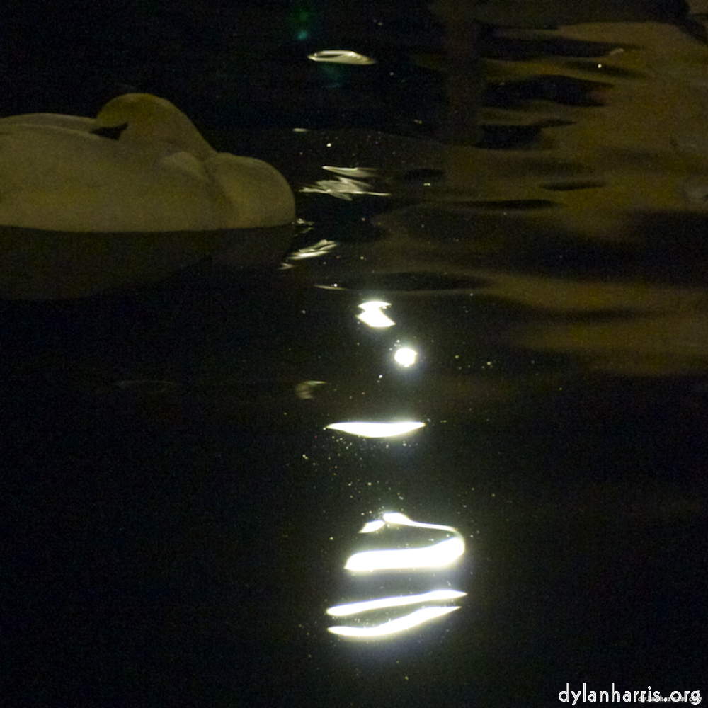 Image 'amsterdam (xx) 4'.