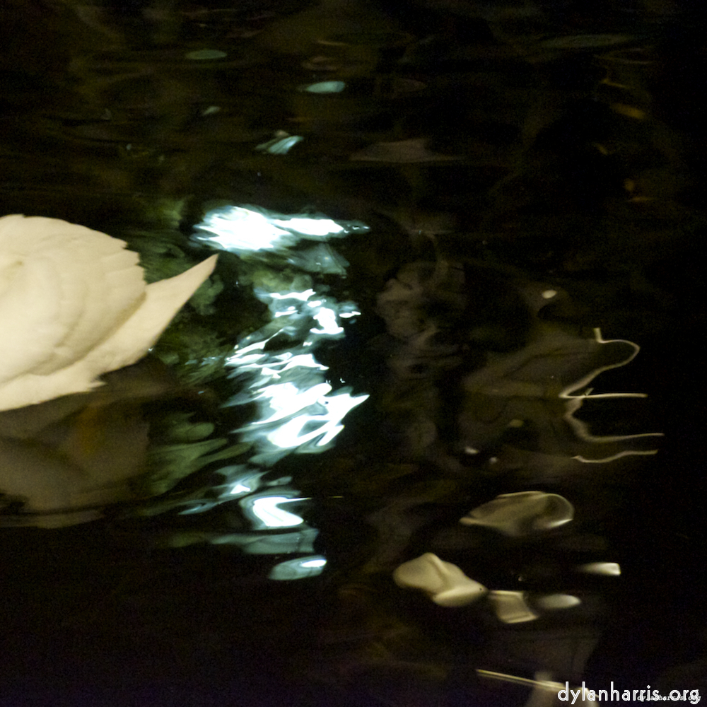 Image 'amsterdam (xx) 5'.