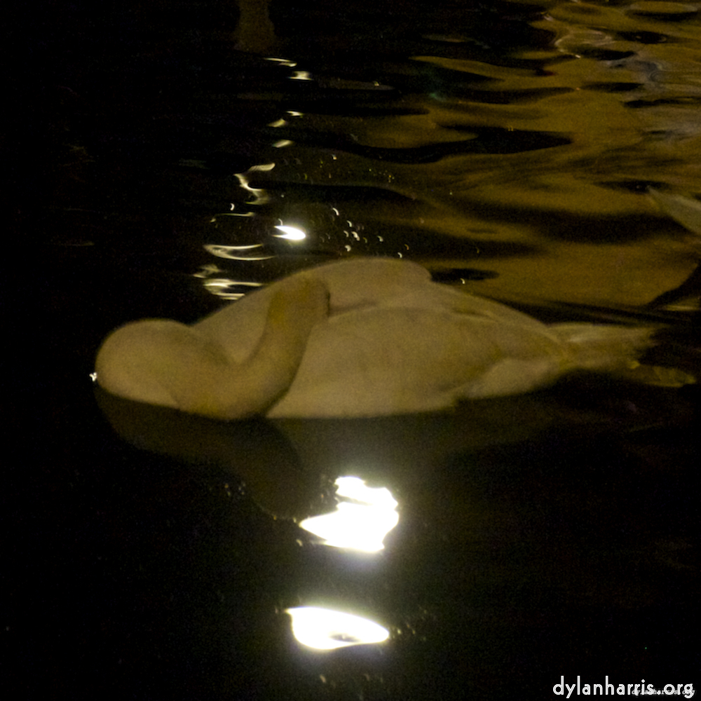 Image: Image 'amsterdam (xx) 6'.