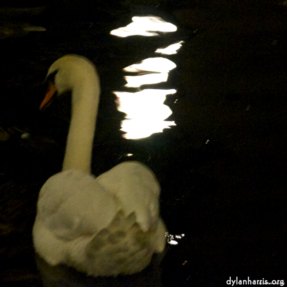 Image 'amsterdam (xx) 7'.