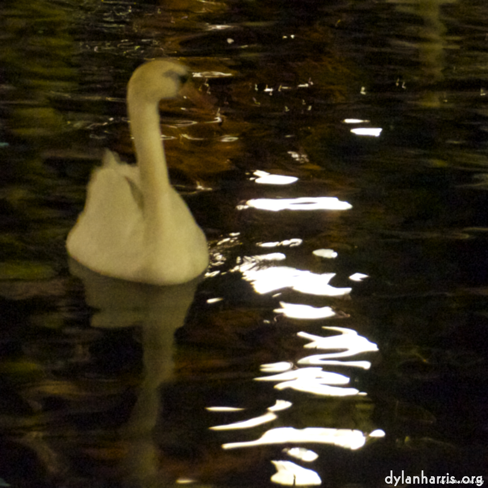 Image: Image 'amsterdam (xx) 8'.