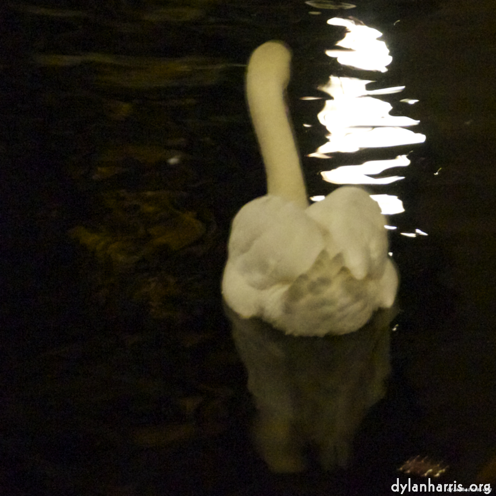 Image 'amsterdam (xx) 9'.