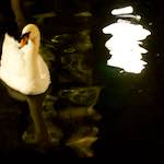 First image from the photoset 'amsterdam (xx)'.