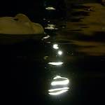 Fourth image from the photoset 'amsterdam (xx)'.