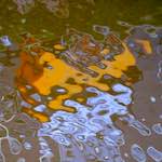 Image: Third image from the photoset 'amsterdam (xxiii)'.