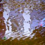 Image: Sixth image from the photoset 'amsterdam (xxiii)'.