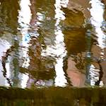 Fourth image from the photoset 'amsterdam (xxiv)'.