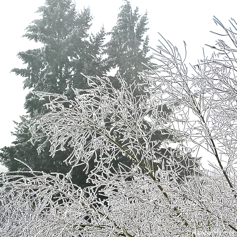 image: This is &lsquo;wood (xvi) 2&rsquo;.