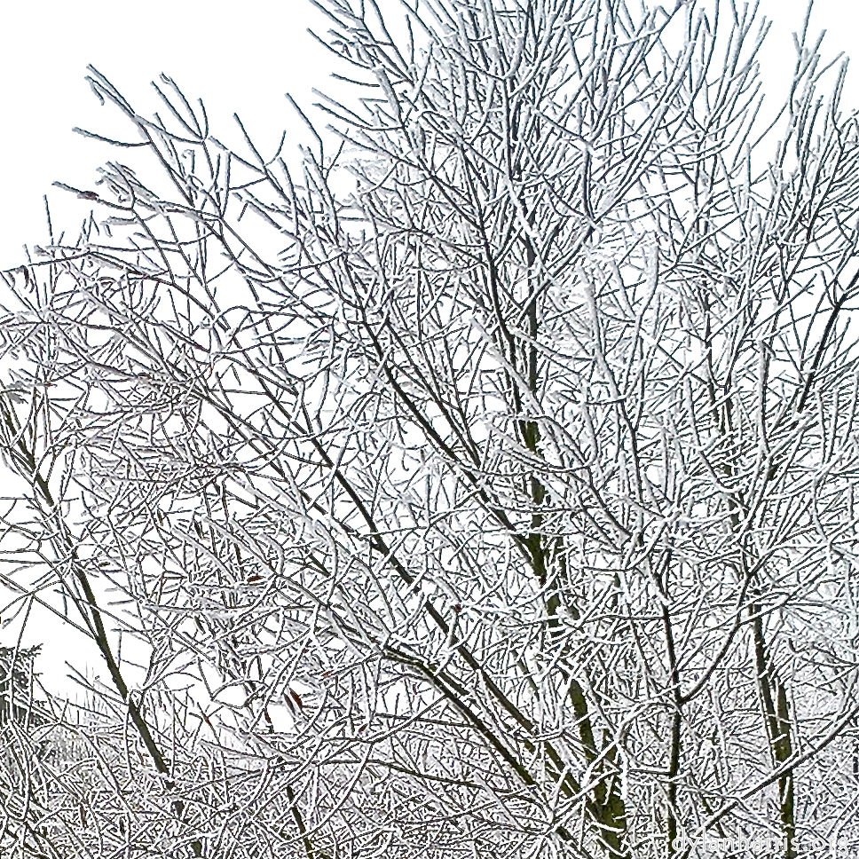 image: This is &lsquo;wood (xvi) 3&rsquo;.