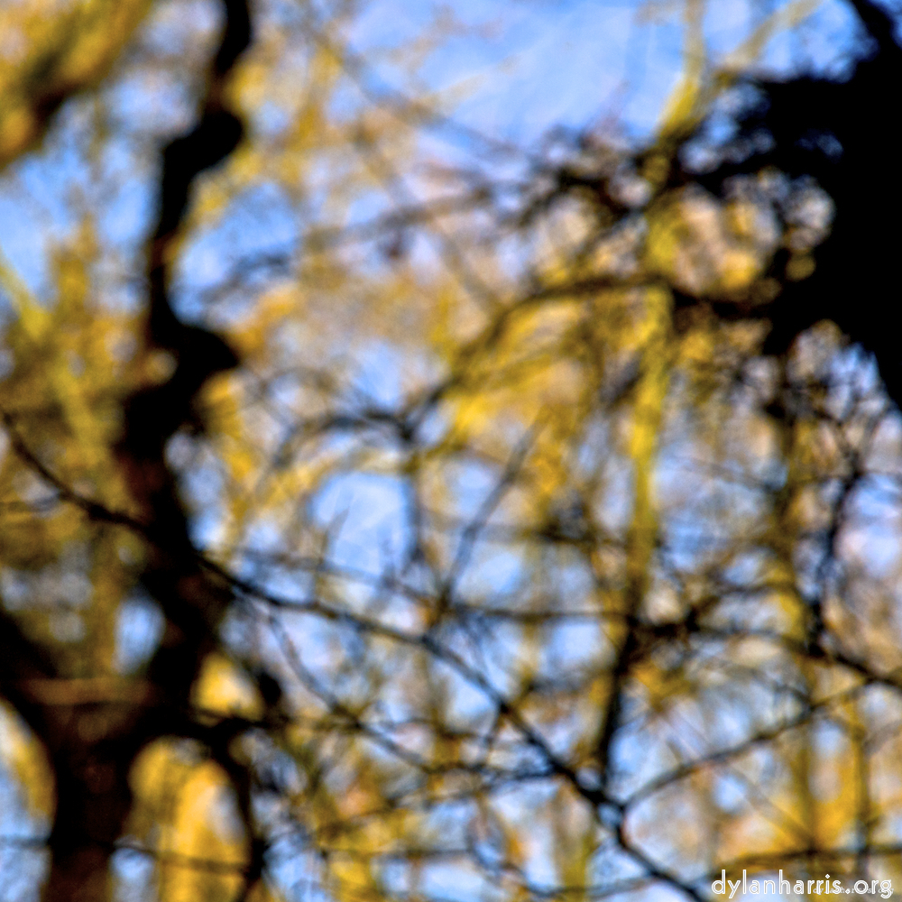 image: This is &lsquo;swineshead (iii) 4&rsquo;.