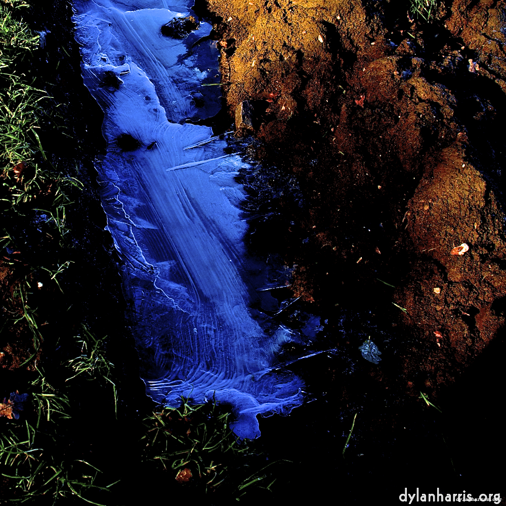 image: This is &lsquo;swineshead (iv) 5&rsquo;.