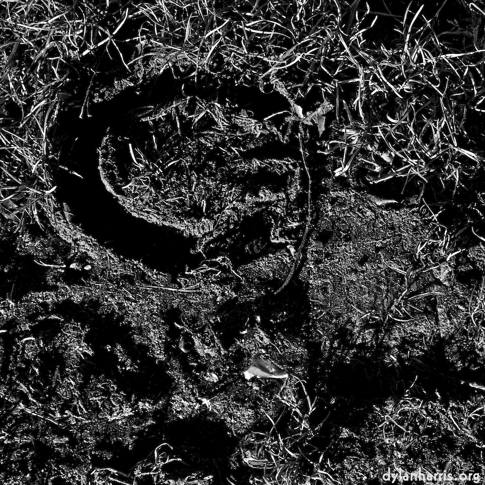 image: This is &lsquo;swineshead (iv) 6&rsquo;.