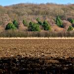 image: Image from the photoset &lsquo;swineshead (iv)&rsquo;.