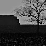 image: Image from the photoset &lsquo;swineshead (iv)&rsquo;.