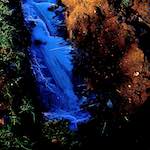 image: Image from the photoset &lsquo;swineshead (iv)&rsquo;.