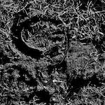 image: Image from the photoset &lsquo;swineshead (iv)&rsquo;.