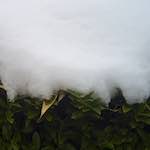 image: Image from the photoset &lsquo;way to work B (vi)&rsquo;.