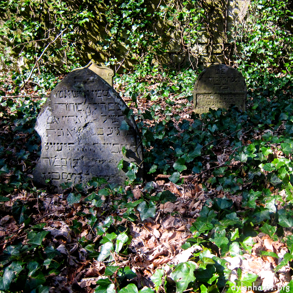 Image: Image 'graveyard (iii) 3'.