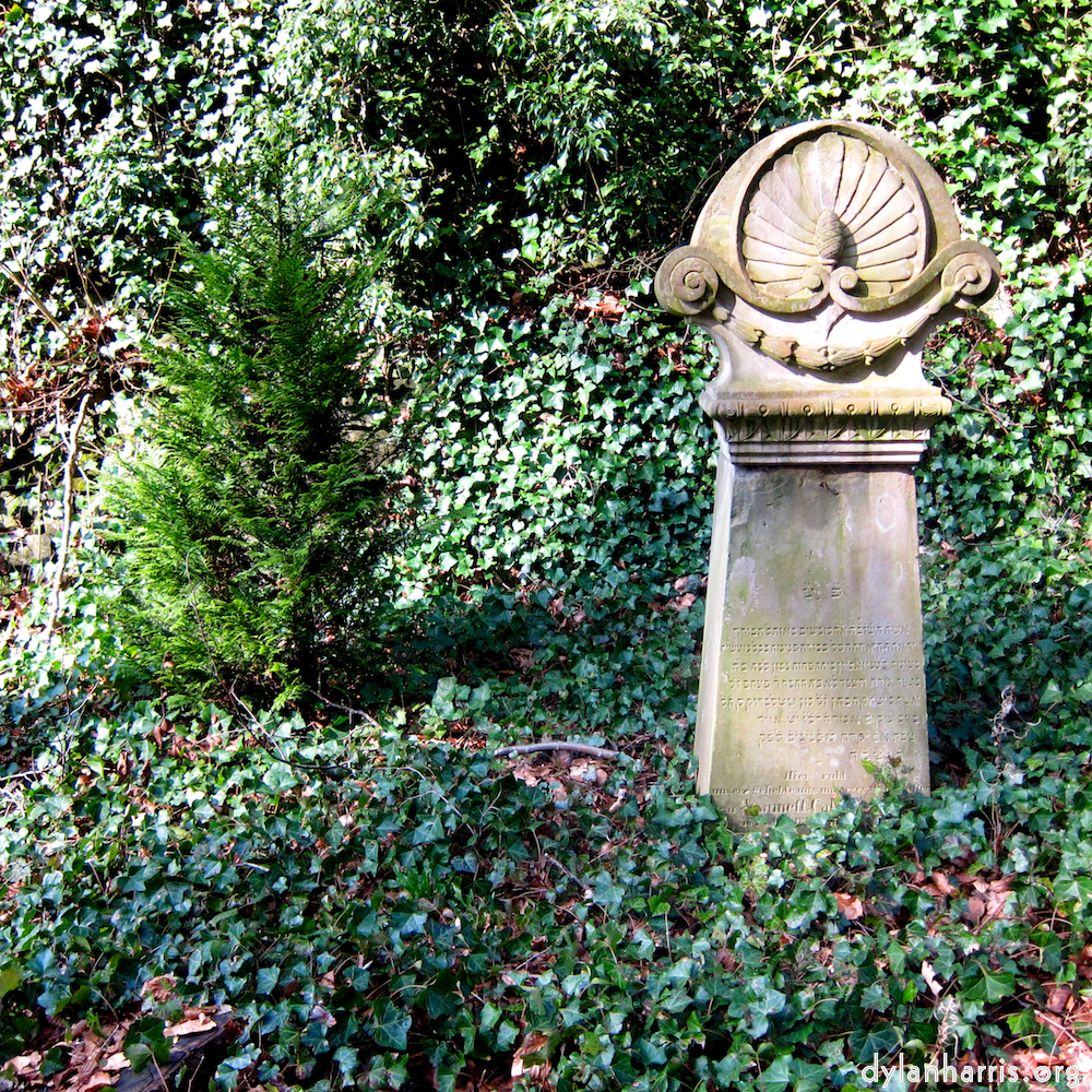 Image 'graveyard (iii) 7'.