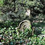 Second image from the photoset 'graveyard (iii)'.