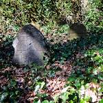 Third image from the photoset 'graveyard (iii)'.