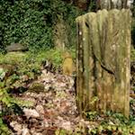 Fourth image from the photoset 'graveyard (iii)'.