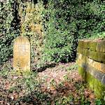 Fifth image from the photoset 'graveyard (iii)'.