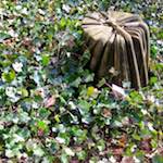 Ninth image from the photoset 'graveyard (iii)'.