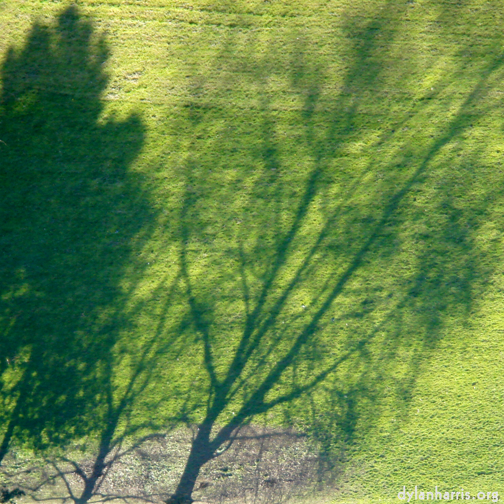 Image: Image 'grund (xiii) 3'.