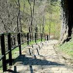 Image: Fourth image from the photoset 'grund (xiii)'.