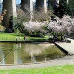 Image: Fifth image from the photoset 'grund (xiii)'.