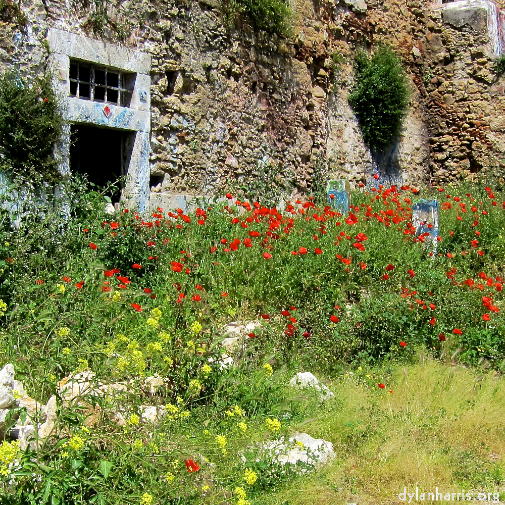 image: This is &lsquo;lisbon (ii) 1&rsquo;.